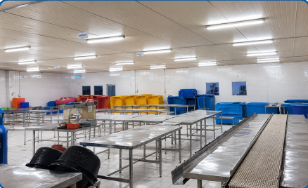 Cold Storage and Facilities